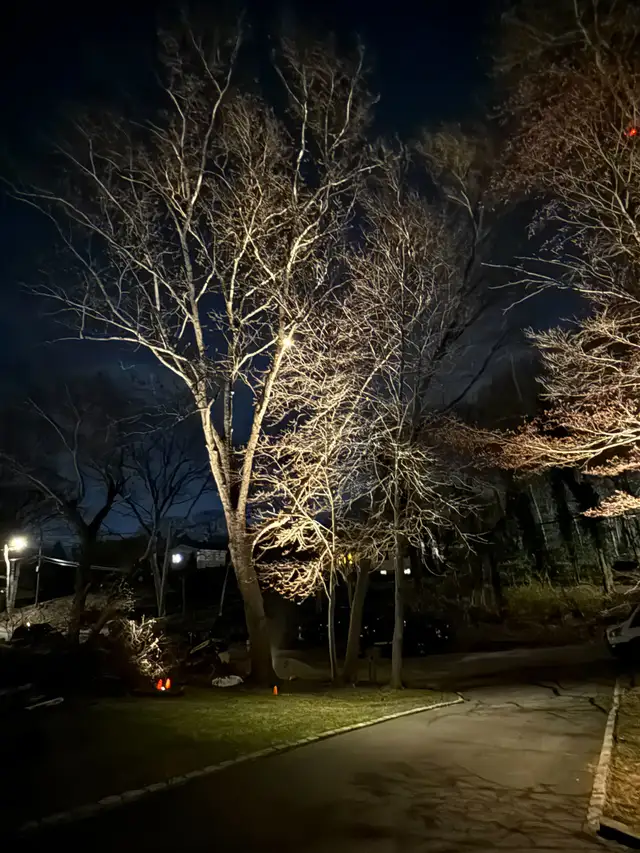 Commercial install with architectural lighting at night