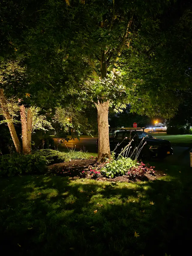 Driveway and landscape lighting install at night